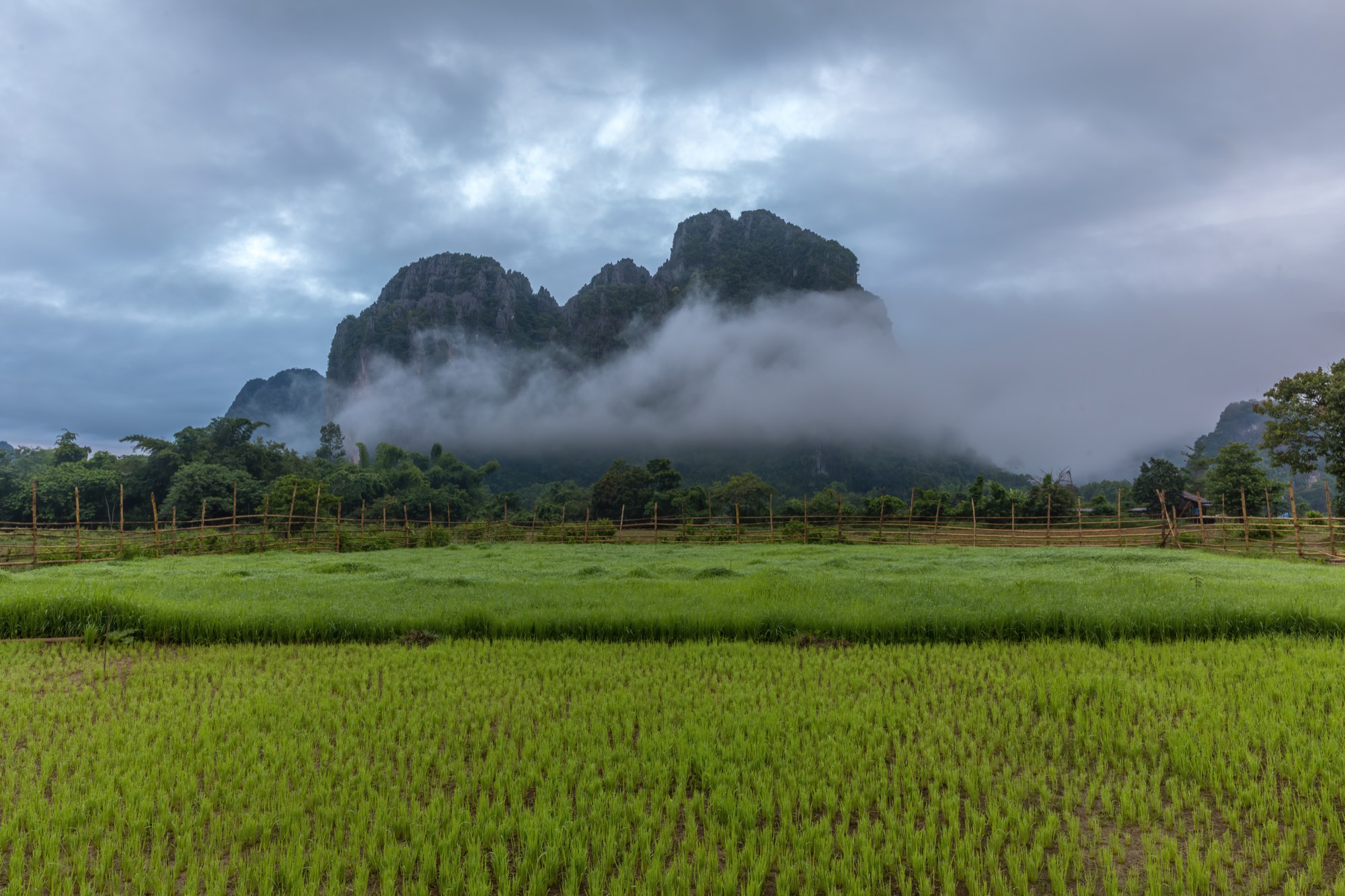 ແຖວຫຼັກໄມ້ໄຜ່ຍາວປັກໝາຍຂອບຕອນນາທີ່ດຳແລ້ວຢູ່ວັງວຽງ ມີເຮືອນນ້ອຍຢູ່ປາຍແຖວ ແລະພູຫີນປູນຫຸ້ມດ້ວຍໝອກຢູ່ທາງຫຼັງ